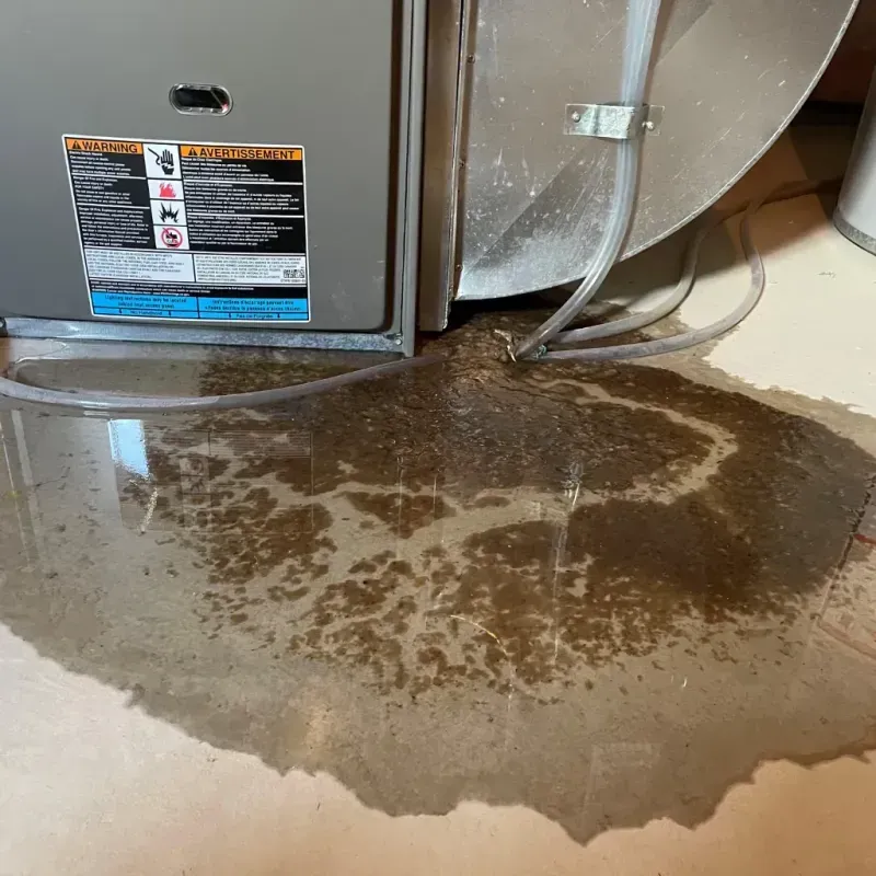 Appliance Leak Cleanup in Abbeville, AL